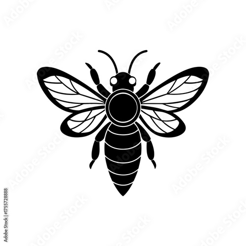  honeybee head detailed wings.