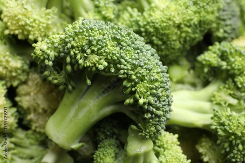 Wallpaper Mural Fresh green broccoli as background, closeup view Torontodigital.ca