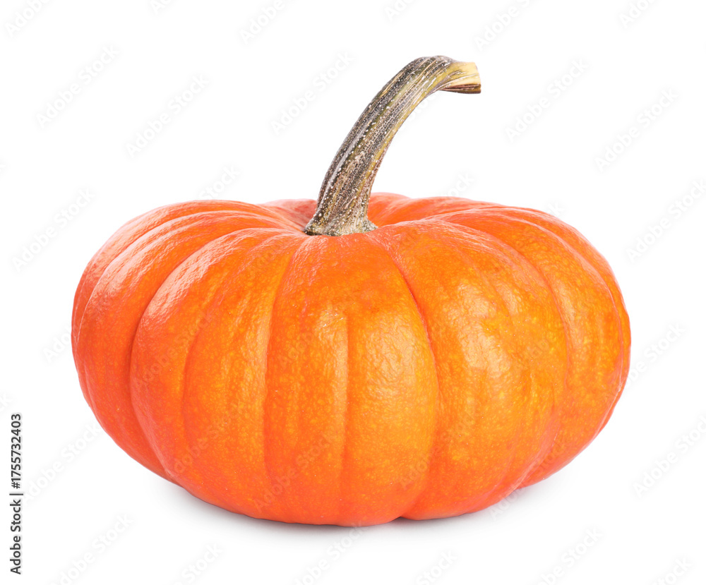 Obraz premium One whole ripe pumpkin isolated on white