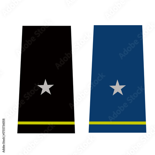 Galon de passant d'épaule et de manche de l'armée de terre et de l'air de l'armée américaine : Général de brigade
