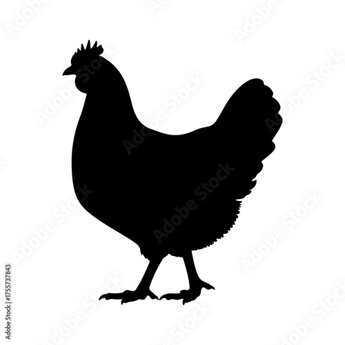 Black hen silhouette with transparent background