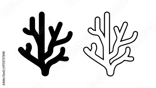 Coral branches with transparent background