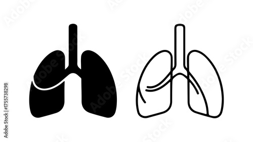 Human lungs anatomy with transparent background