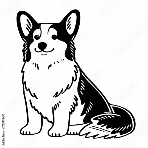 welsh corgi breed dog sitting on a white background