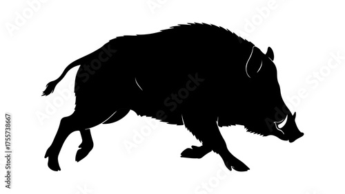 Wild boar silhouette with transparent background