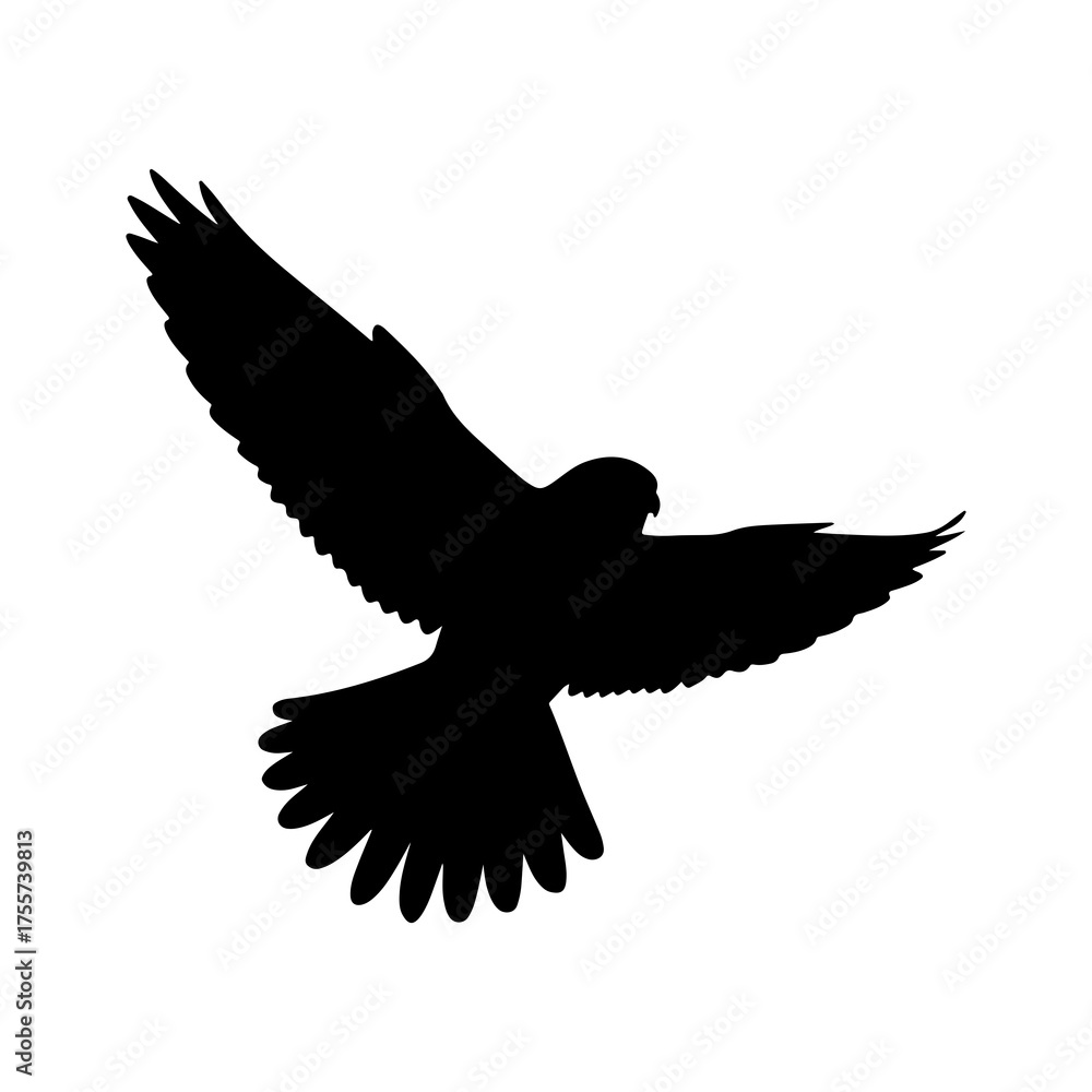 Obraz premium Falcon in flight with transparent background