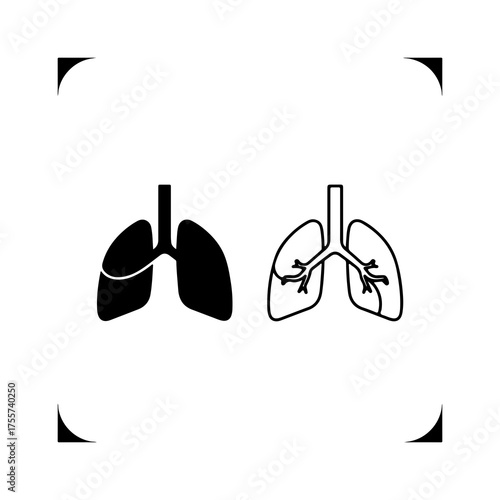 Human lungs anatomy with transparent background