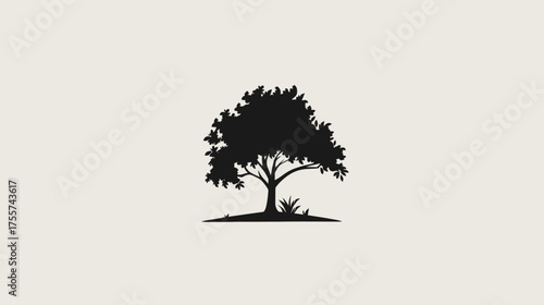 Silhouette of a leafy tree with a thick trunk and some grass