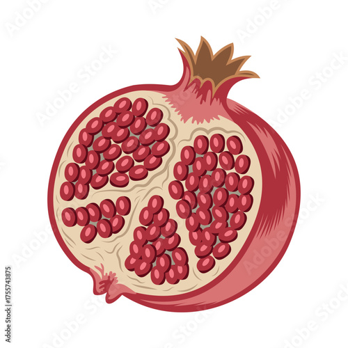 red pomegranate fruit cut open, seeds visible clip art preview