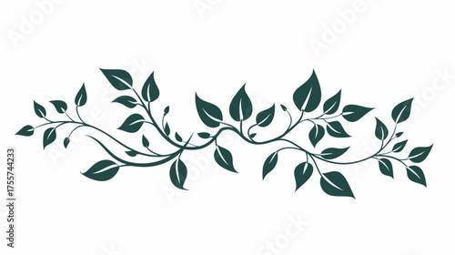 A flowing, dark green vine with leaves and buds across a white background