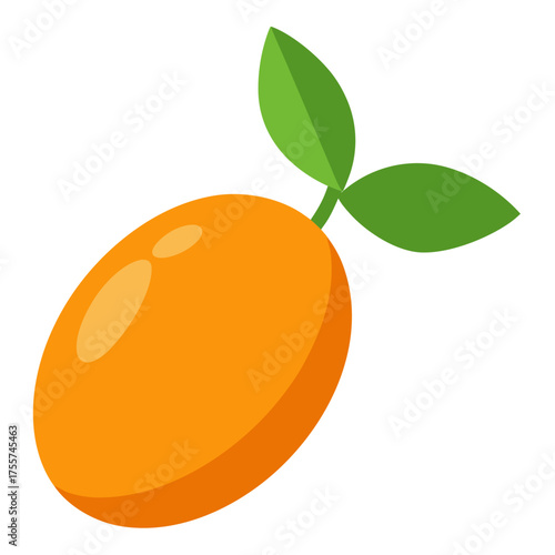vector illustration of orange