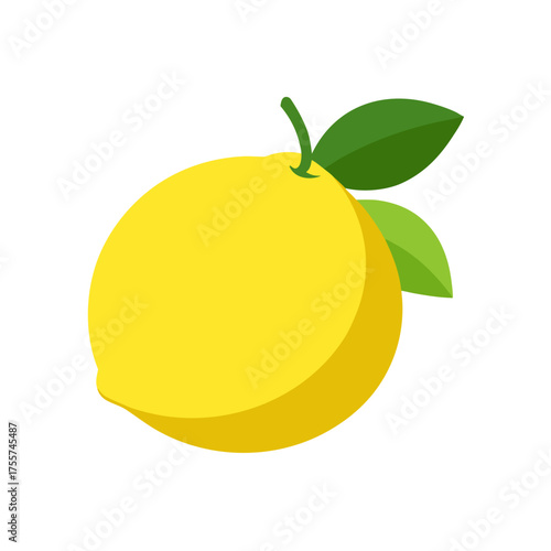 lemon vector illustration