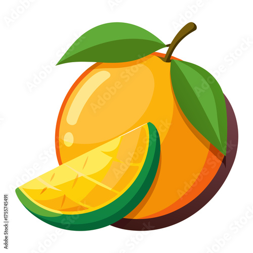 vector illustration of an orange fruit