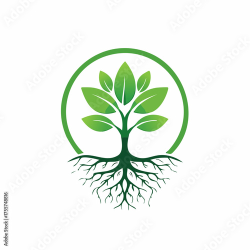 Green tree logo with leaves and roots inside circle graphic design
