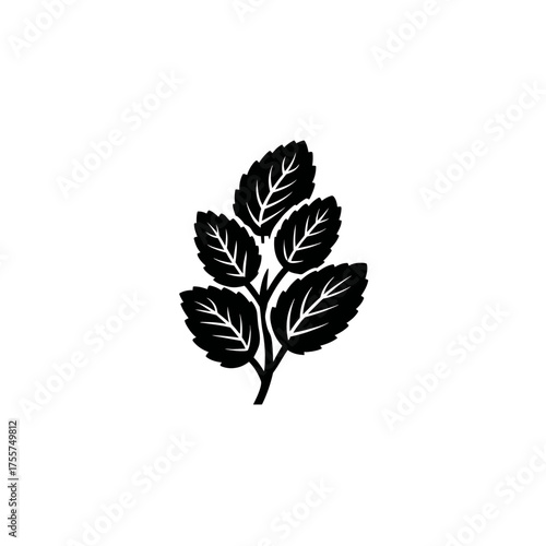 Black silhouette of a sprig with five serrated leaves against white