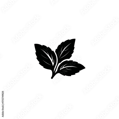 Silhouette of three dark, veined leaves against a white background