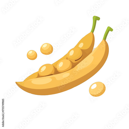 Depiction of an Open Yellow Soybean Pod Filled with Yellowish-White Seeds on a Clean White Background