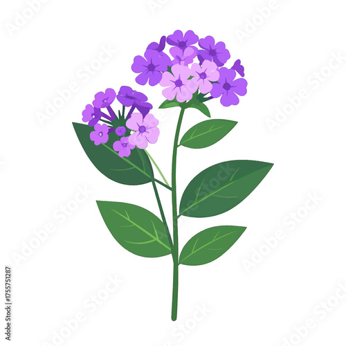 Purple Phlox Pixel Art Illustration on White Background with Green Leaves and Delicate Floral Details in a Simple and Minimalist Style