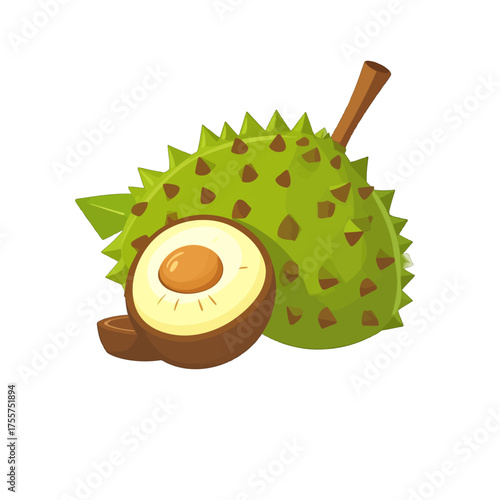 Illustration of Durian Fruit with Spiky Green Exterior and Brown Interior on White Background