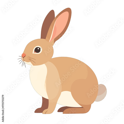 Brown Rabbit Illustration on White Background Isolated Vector Image Adobe Stock Photo