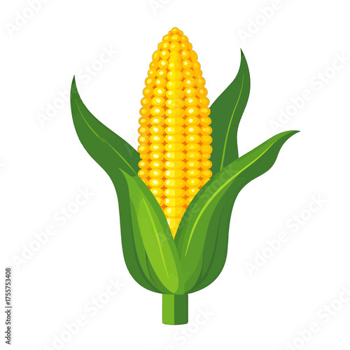 Vibrant Yellow Corn with Green Husk Isolated on White Background