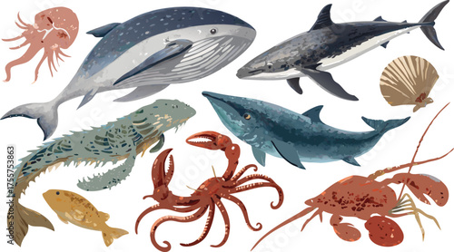 A vibrant watercolor collection of diverse marine life, featuring a majestic whale, a powerful shark, a curious octopus, a detailed crab, a spiny lobster, a ...