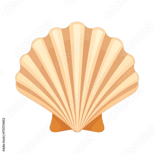 Radiant Scallop Shell with Textured Surface in Warm Beige and Light Yellow Tones on White Background Creating a Sense of Natural Beauty in Studio Light