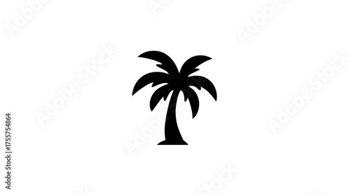 Black silhouette of a palm tree with broad leaves against white