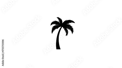 A stark black silhouette of a palm tree with a curved trunk and fronds