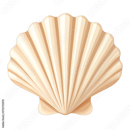 Isolated Beige Shell on White Background Detailed Coastal Icon Illustration