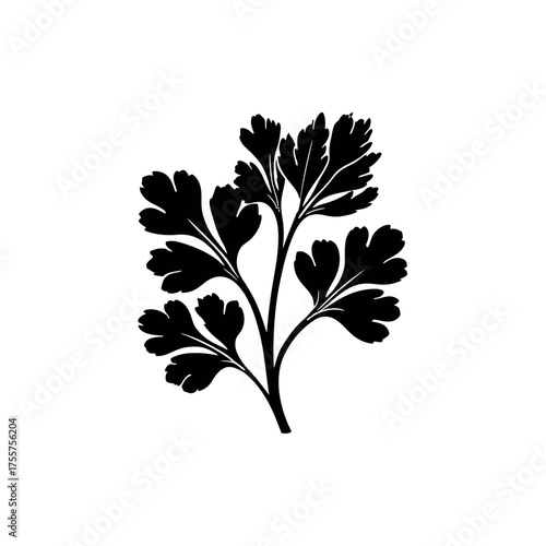 Silhouette of a sprig of parsley with delicate, divided leaves