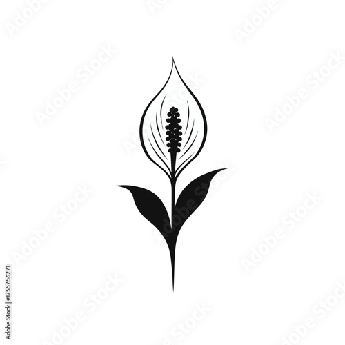 Stylized black silhouette of a peace lily flower with spathe and spadix