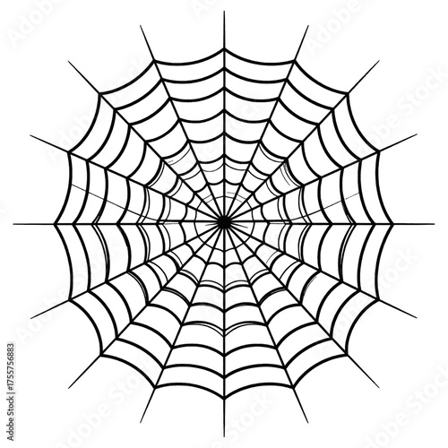 Detailed Black and White Spiderweb Illustration with Radial Symmetry and Intricate Webbing on a Plain White Background