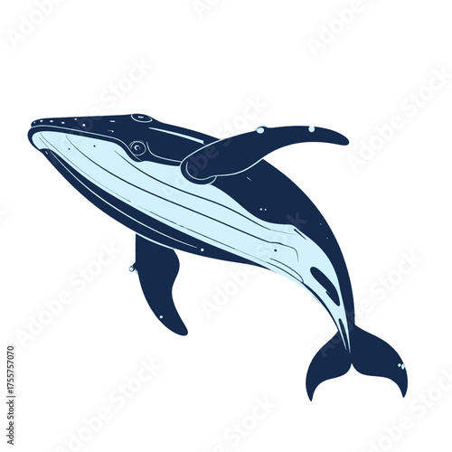 Stylized Humpback Whale Illustration in Blue and White on Plain Background