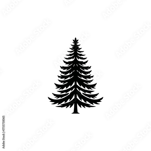 Black silhouette of a tall evergreen tree with pointed branches on white