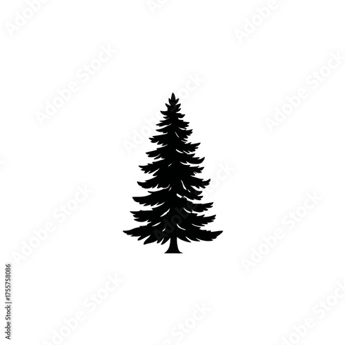 A black silhouette of a tall, full pine tree against a white background