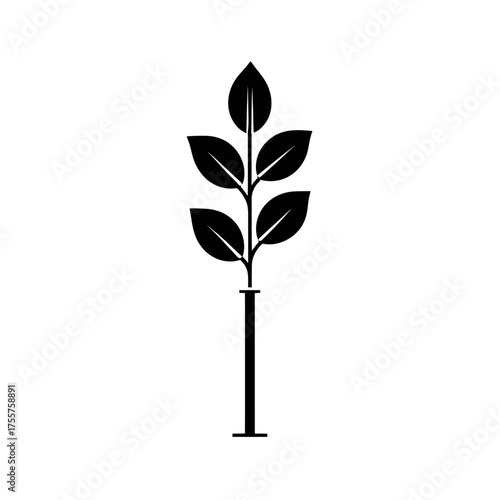 Silhouette of a plant stem with leaves emerging from a laboratory flask