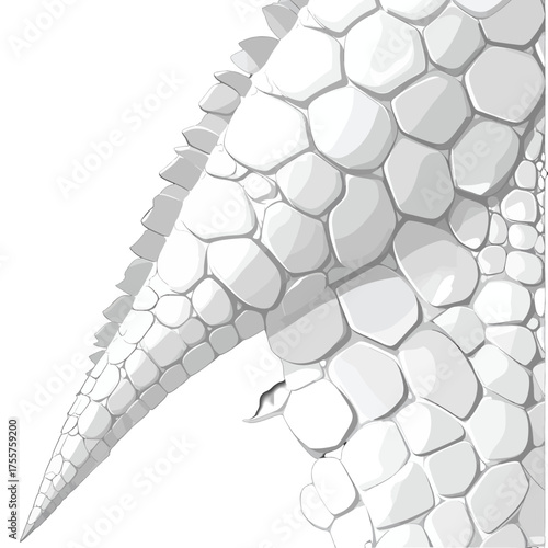 Monochrome Scaled Texture of a Reptilian Skin with Detailed Ridge Pattern Forming a Three Dimensional Curved Shape Against a White Background