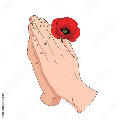 Praying hands holding red poppy flower, symbolizing remembrance and hope
