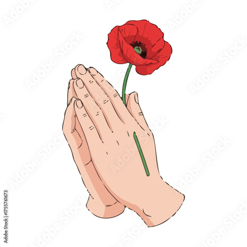 Closeup praying hands gently holding vibrant red poppy flower with green stem, representing remembrance and peace