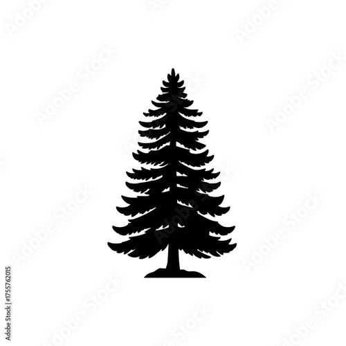 A black silhouette of a dense evergreen tree with layered branches against a white background