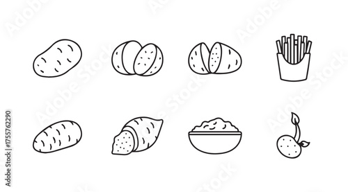 Collection of hand drawn potato icons fresh food elements food preparation ingredients collection vector