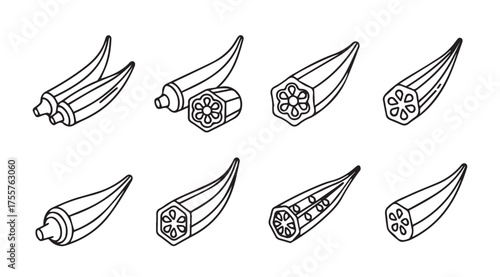 Hand drawn okra pods and slices in sketch style for culinary and health projects vector