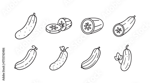 Hand drawn sketch collection of fresh cucumbers various angles and styles vector