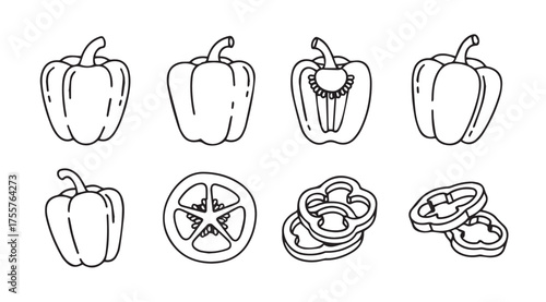 Artistic sketch of bell peppers whole cut halved and sliced fresh produce element vector