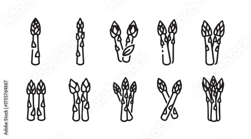 Hand drawn asparagus icon set fresh organic vegetable sketch collection healthy food icons vector