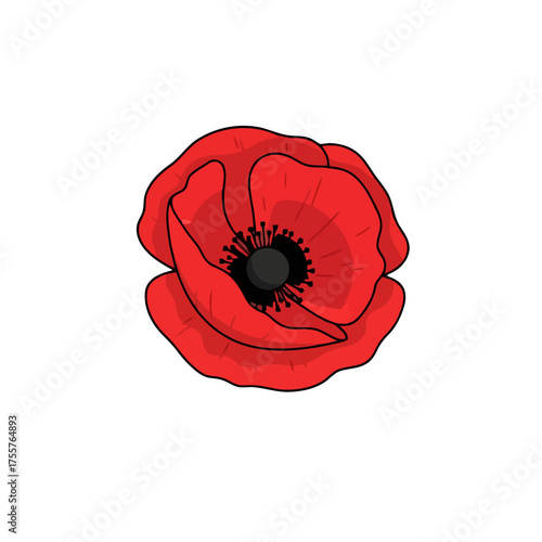 Single red poppy flower with black center, , symbolizing remembrance and peace, often associated with anzac day and remembrance day, beautiful floral