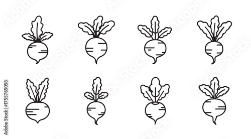 Hand drawn beets with greens fresh root vegetables sketch collection for healthy eating vector