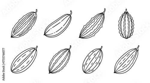 Hand drawn cacao pods set botanical sketch collection natural organic ingredient design element vector