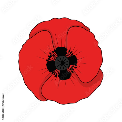 Single red poppy flower with black center and detailed petals, symbolizing remembrance, sacrifice, and honor for fallen soldiers